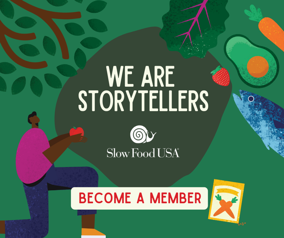 FB we are storytellers green