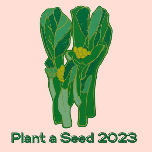 PlantASeed23-greens