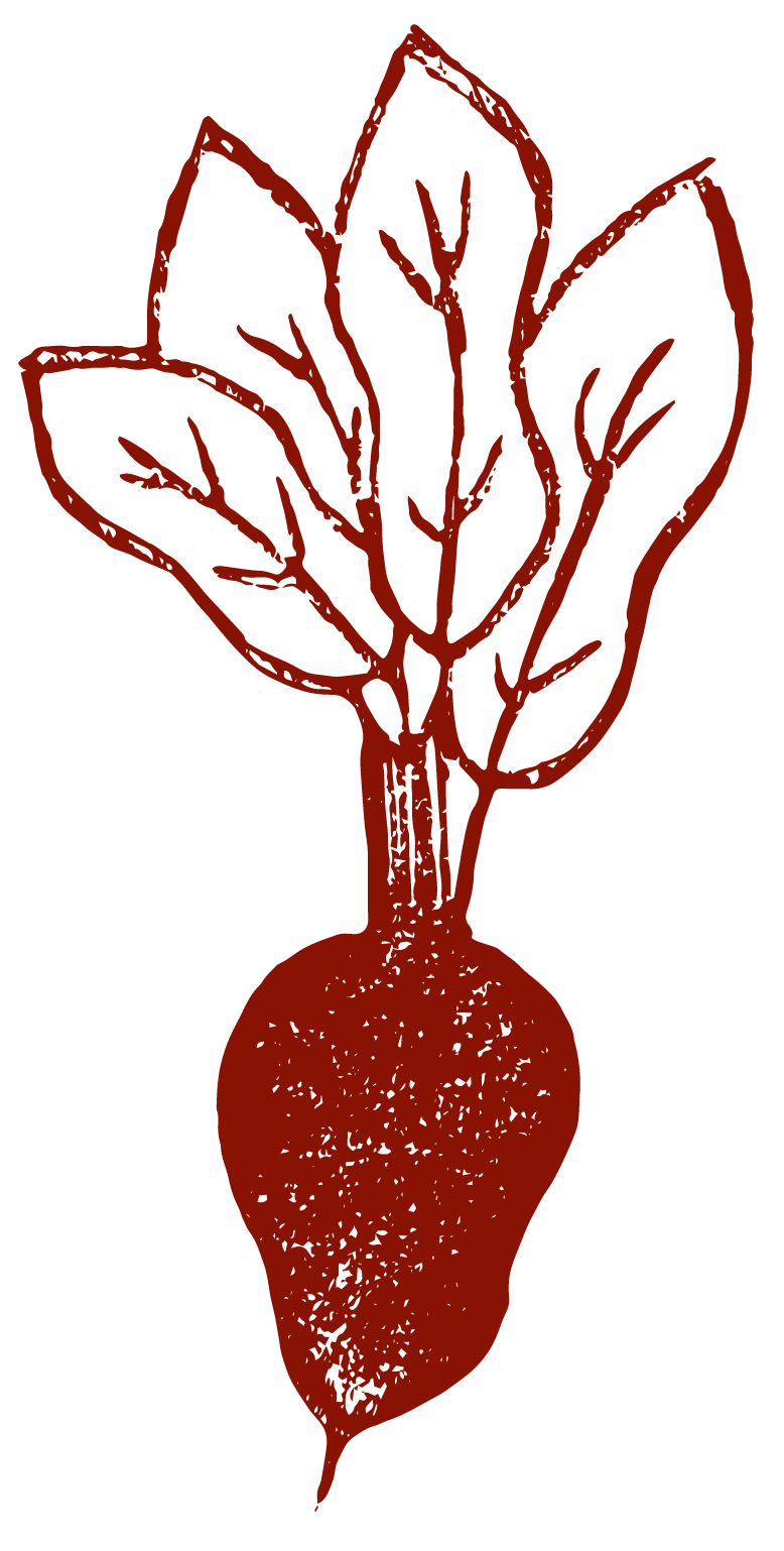 SSS beet