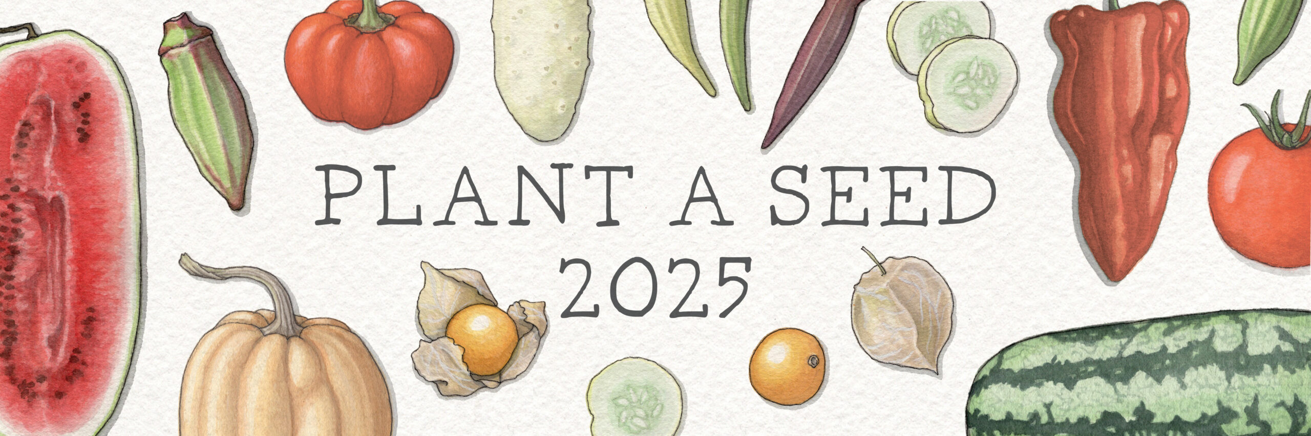 Slow Food_banner-logo