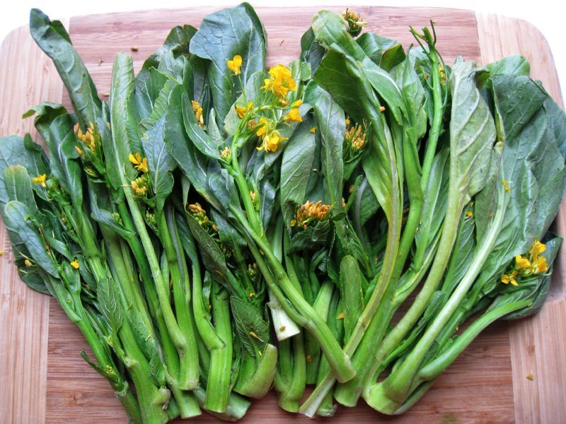 Yu Choy Sum