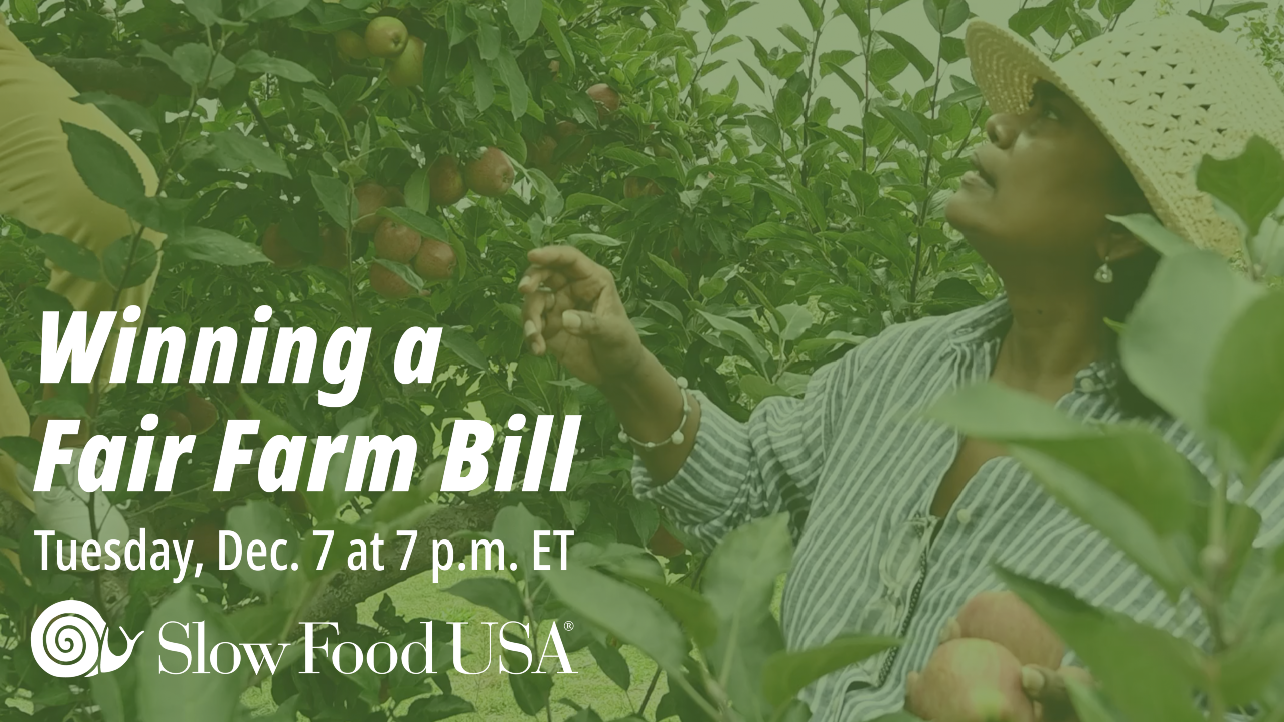 farm bill rectangle 2