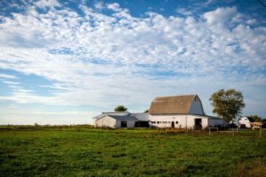 Midwest Region By Mark Stebnicki