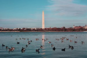 Washington Monument By Samad Ismayilov